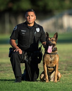 SFPD-K9Alex41